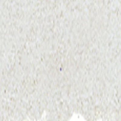 Art Spectrum Soft Pastels (Greens & Neutrals) - Image 79