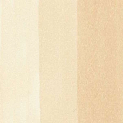 Copic Ciao Markers (Earth Tones) - Image 17