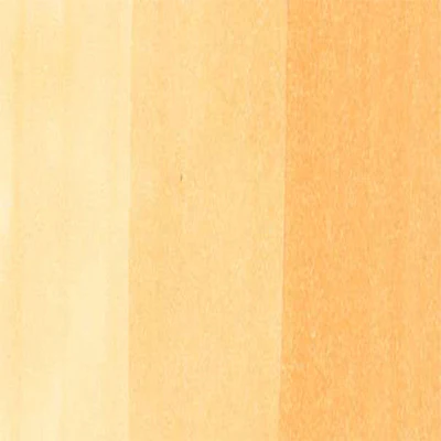 Copic Ciao Markers (Earth Tones) - Image 6