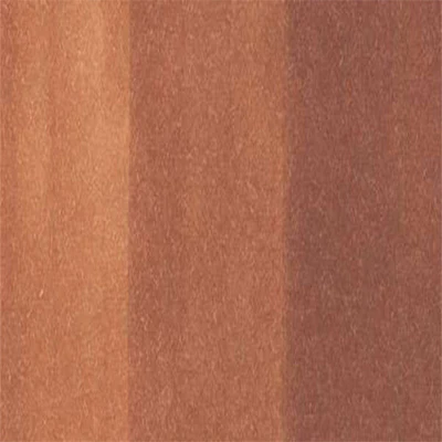 Copic Inks (Earth Tones) - Image 27