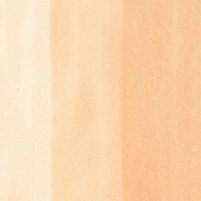 Copic Inks (Earth Tones) - Image 37