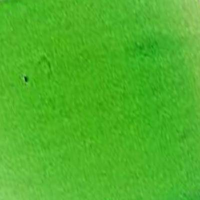 Golden High Flow Acrylic Paints 118ml - Image 71