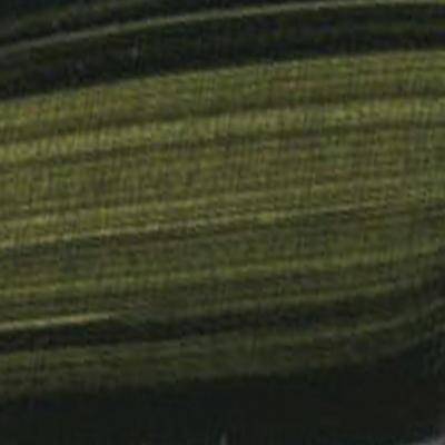 Golden OPEN Acrylic Paints 237ml - Image 68