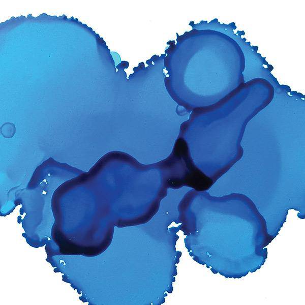 Jacquard Pinata Alcohol Inks 118ml - Image 11