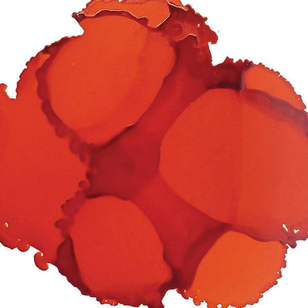 Jacquard Pinata Alcohol Inks 118ml - Image 4