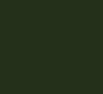 Jacquard SolarFast Dye 118ml - Image 11