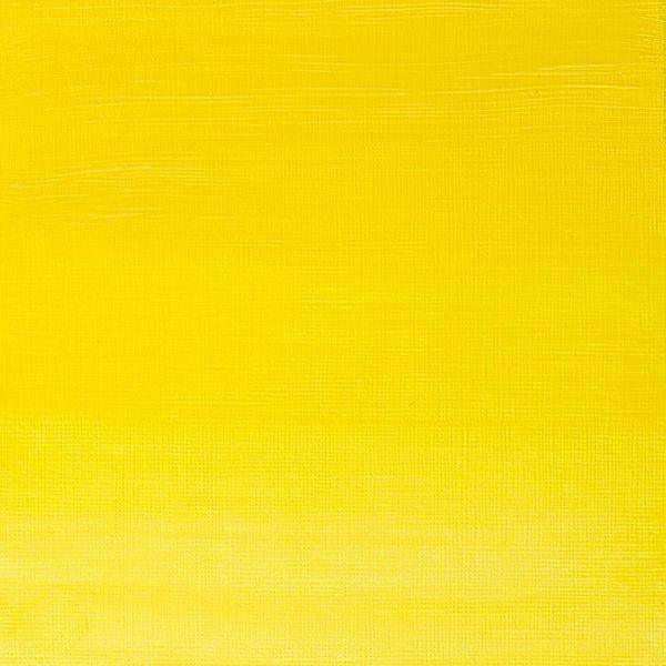 Winsor & Newton Artists' Oil Paint 37ml - Image 3