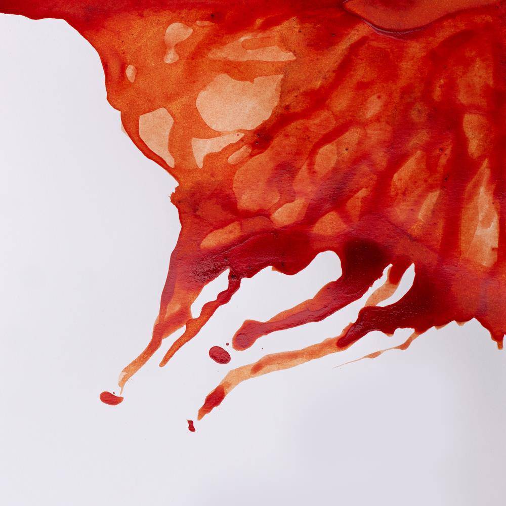 Winsor & Newton Drawing Ink 14ml - Image 7