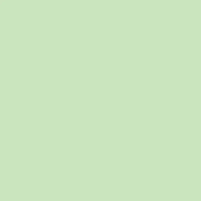 Winsor & Newton Promarker (Blues, Greens & Browns) - Image 29