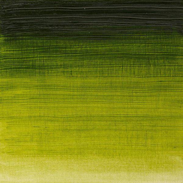 Winsor & Newton Winton Oil Paints 200ml - Image 43