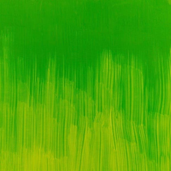 Winsor & Newton Winton Oil Paints 200ml - Image 46