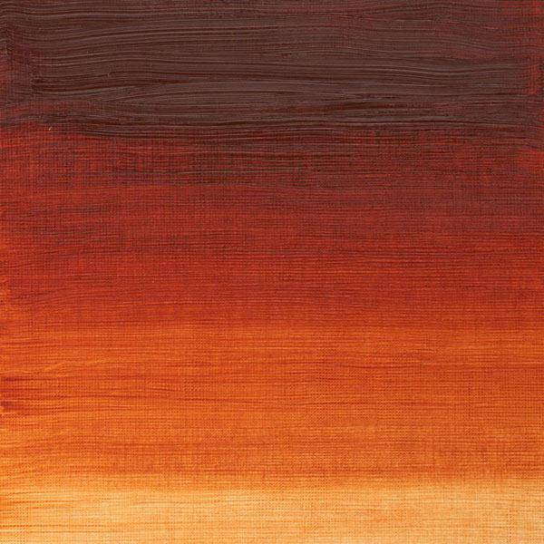 Winsor & Newton Winton Oil Paints 200ml - Image 60