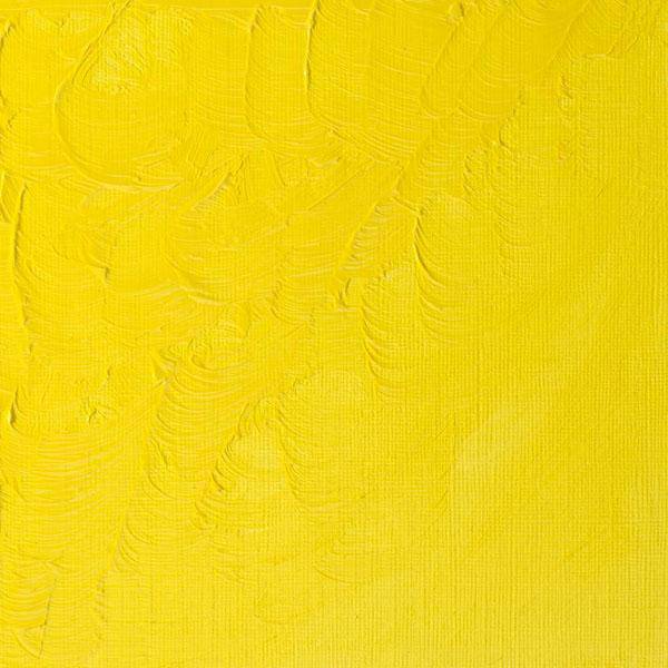 Winsor & Newton Winton Oil Paints 37ml - Image 3
