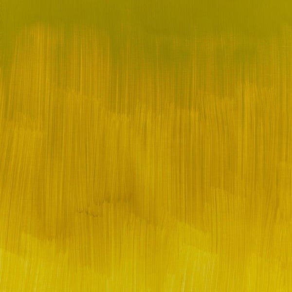 Winsor & Newton Winton Oil Paints 37ml - Image 58